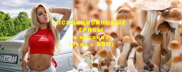 каннабис Верхний Тагил