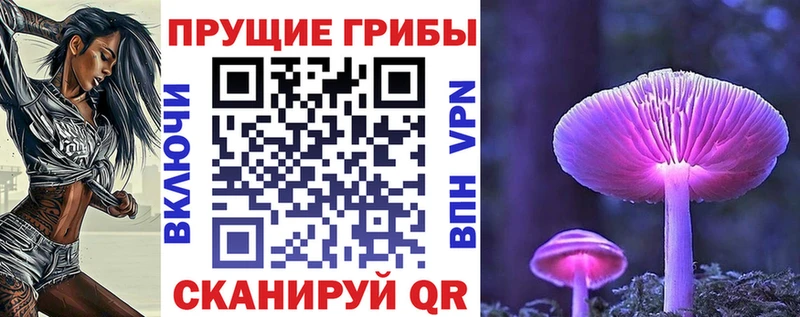 наркошоп  Горбатов  Галлюциногенные грибы прущие грибы 